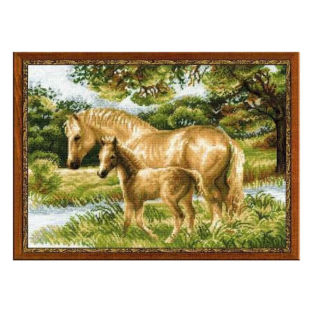 Набор для вышивки Риолис 1258 Лошадь с жеребенком фото