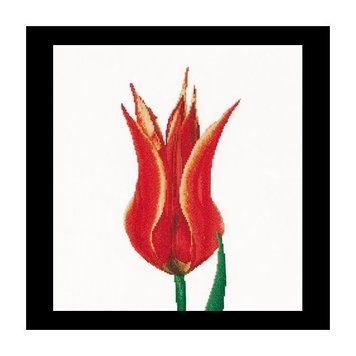 Red/Yellow Lily flowering tulip Linen Набор для вышивки крестом Thea Gouverneur gouverneur_515 gouverneur_515 фото