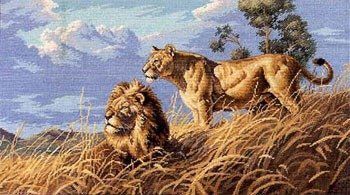 Набір для вишивки хрестиком Dimensions 03866 African Lions 03866 фото