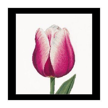 Red/White Triumph tulip Linen Набор для вышивки крестом Thea Gouverneur gouverneur_517 gouverneur_517 фото