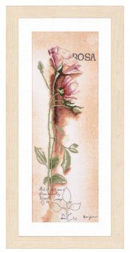 Набор для вышивания Lanarte PN-0008050 Rosa - Botanical PN-0008050 фото