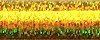 1/16" Ribbon Металлизированная нитка 10 м Kreinik R16-028L R16-028L фото