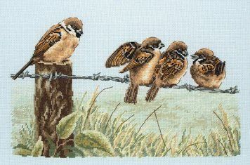 Набір для вишивання Anchor PCE603 Birds On Wire / Птахи на дроті PCE603 фото