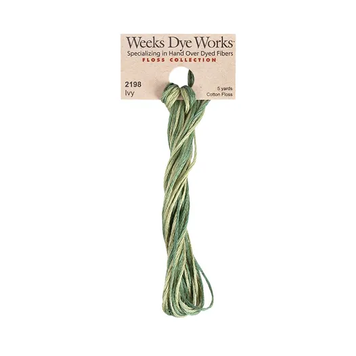 Муліне ручного фарбування Weeks Dye Works 2198 Ivy WDW2198 фото