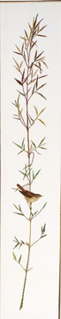 Sedge warbler Набор для вышивания Eva Rosenstand 08-4412 08-4412 фото