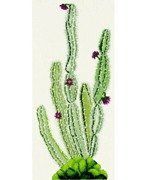 Набір для вишивання хрестом DMC BK002 Cactus BK002 фото