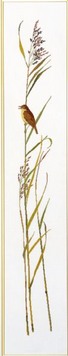 Sedge warbler Набор для вышивания Eva Rosenstand 08-4413 08-4413 фото